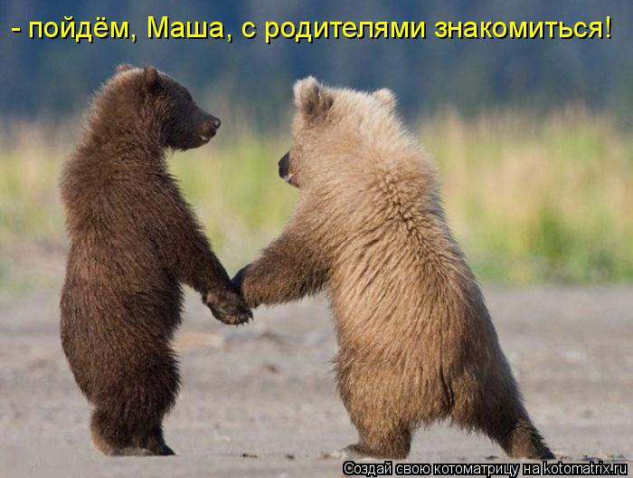 - пойдём, Маша, с родителями знакомиться!... Котоматрица: - пойдём, Маша, с родителями знакомиться!