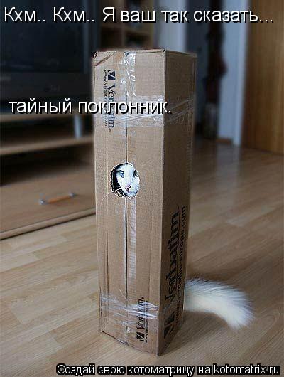 Кхм.. Кхм.. Я ваш так сказать... тайный поклонник.... Котоматрица: Кхм.. Кхм.. Я ваш так сказать... тайный поклонник.