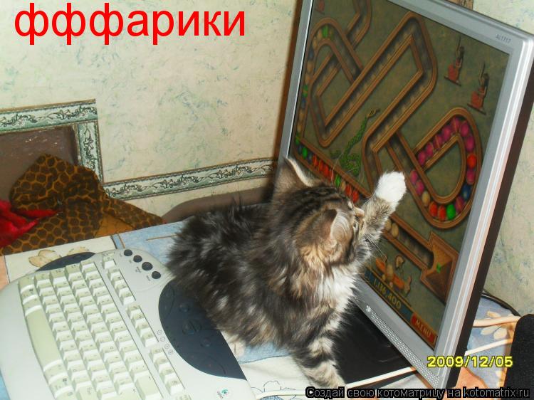 фффарики... Котоматрица: фффарики