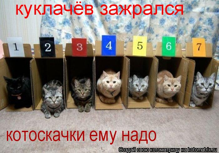 куклачёв зажрался котоскачки ему надо... Котоматрица: куклачёв зажрался котоскачки ему надо