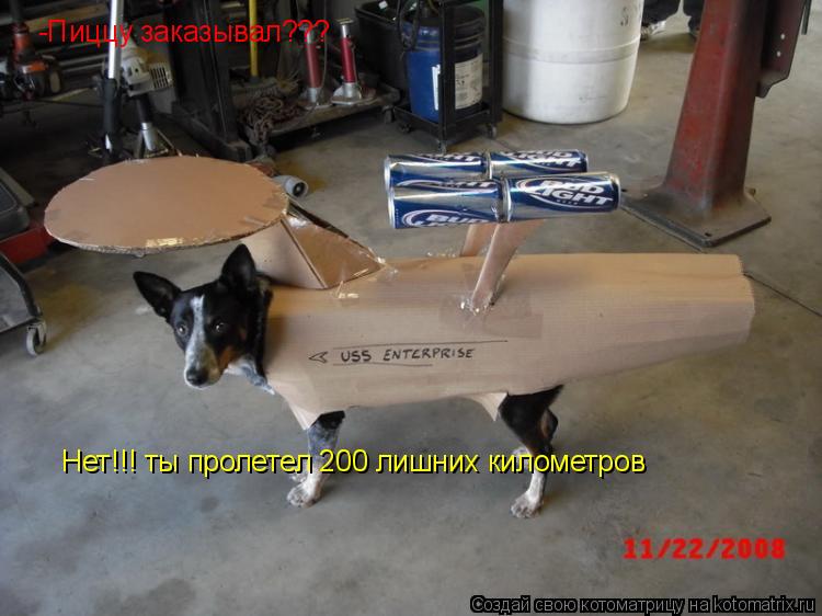 -Пиццу заказывал??? Нет!!! ты пролетел 200 лишних километров... Котоматрица: -Пиццу заказывал??? Нет!!! ты пролетел 200 лишних километров