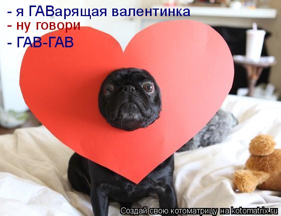 - я ГАВарящая валентинка - ну говори - ГАВ-ГАВ... Котоматрица: - я ГАВарящая валентинка - ну говори - ГАВ-ГАВ