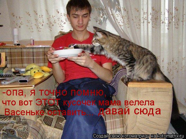 -опа, я точно помню, что вот ЭТОТ кусочек мама велела Васеньке оставить... давай сюда... Котоматрица: -опа, я точно помню, что вот ЭТОТ кусочек мама велела Васеньке оставить... давай сюда