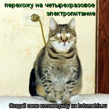 перехожу на четырехразовое электропитание... Котоматрица: перехожу на четырехразовое электропитание