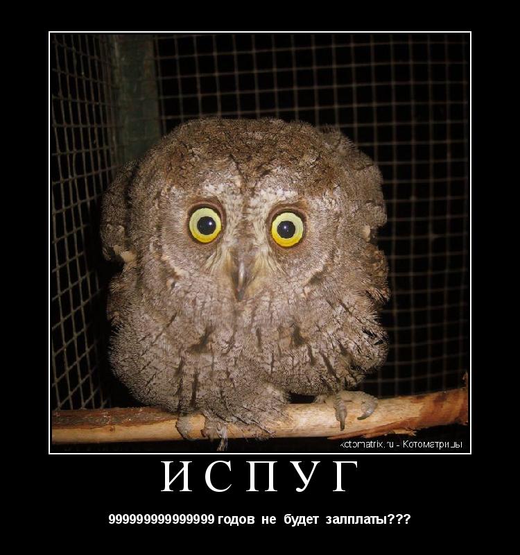 испуг 999999999999999 годов не будет залплаты???... Котоматрица: испуг 999999999999999 годов не будет залплаты???