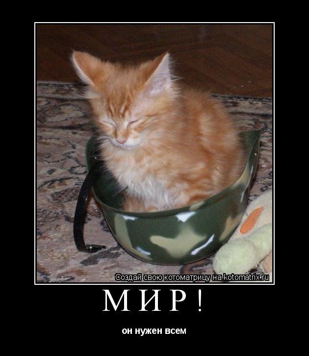 МИР! он нужен всем... Котоматрица: МИР! он нужен всем