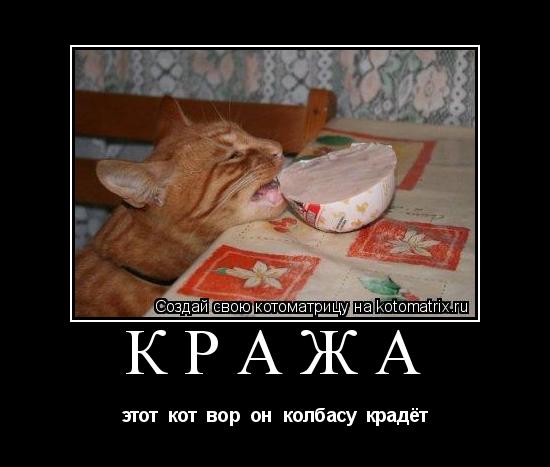 кража этот кот вор он колбасу крадёт... Котоматрица: кража этот кот вор он колбасу крадёт
