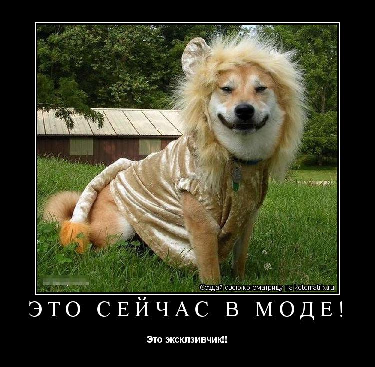 Это сейчас в моде! Это эксклзивчик!!... Котоматрица: Это сейчас в моде! Это эксклзивчик!!