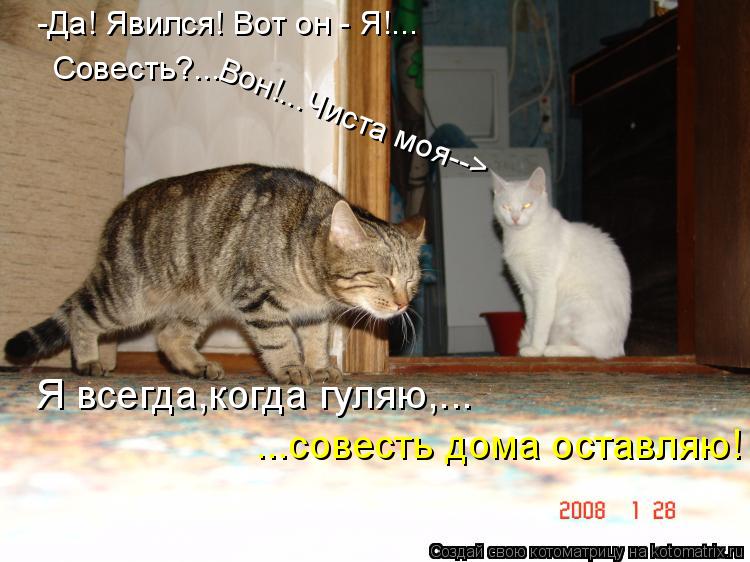 Совесть?... -Да! Явился! Вот он - Я!... Вон!...Чиста моя--> Я всегда,когда гуляю,... ...совесть дома ... Котоматрица: Совесть?... -Да! Явился! Вот он - Я!... Вон!...Чиста моя--> Я всегда,когда гуляю,... ...совесть дома оставляю!