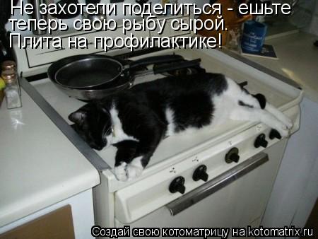 Не захотели поделиться - ешьте теперь свою рыбу сырой. Плита на профилактике!... Котоматрица: Не захотели поделиться - ешьте теперь свою рыбу сырой. Плита на профилактике!