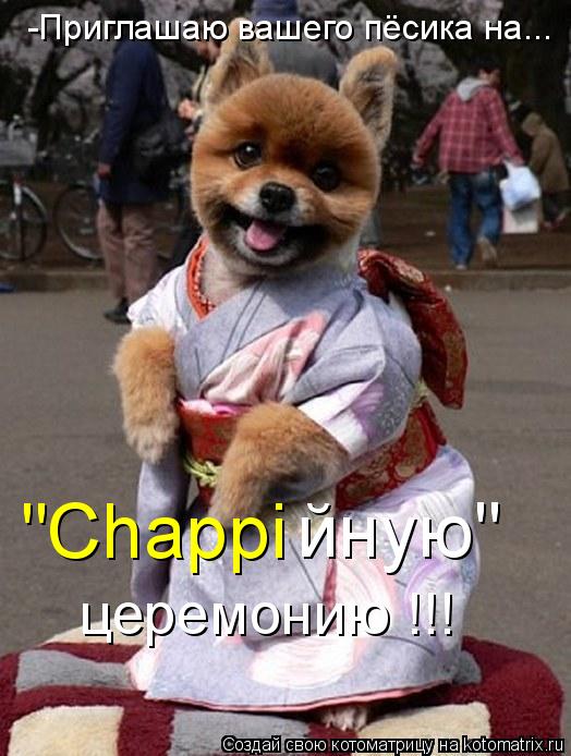 -Приглашаю вашего пёсика на... "Chappi йную" церемонию !!!... Котоматрица: -Приглашаю вашего пёсика на... "Chappi йную" церемонию !!!