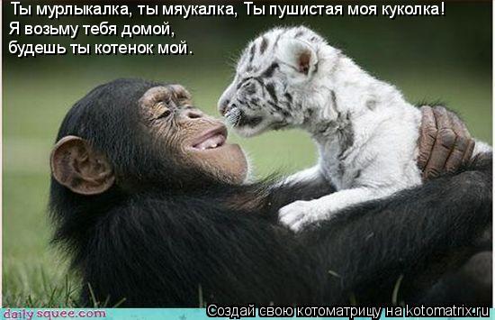 Ты мурлыкалка, ты мяукалка, Ты пушистая моя куколка! Я возьму тебя домой, будешь ты котенок мой.... Котоматрица: Ты мурлыкалка, ты мяукалка, Ты пушистая моя куколка! Я возьму тебя домой, будешь ты котенок мой.
