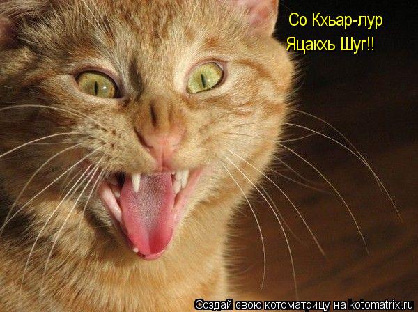 Со Кхьар-лур Яцакхь Шуг!!... Котоматрица: Со Кхьар-лур Яцакхь Шуг!!