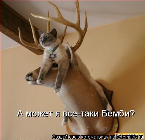 А может я все-таки Бемби?... Котоматрица: А может я все-таки Бемби?