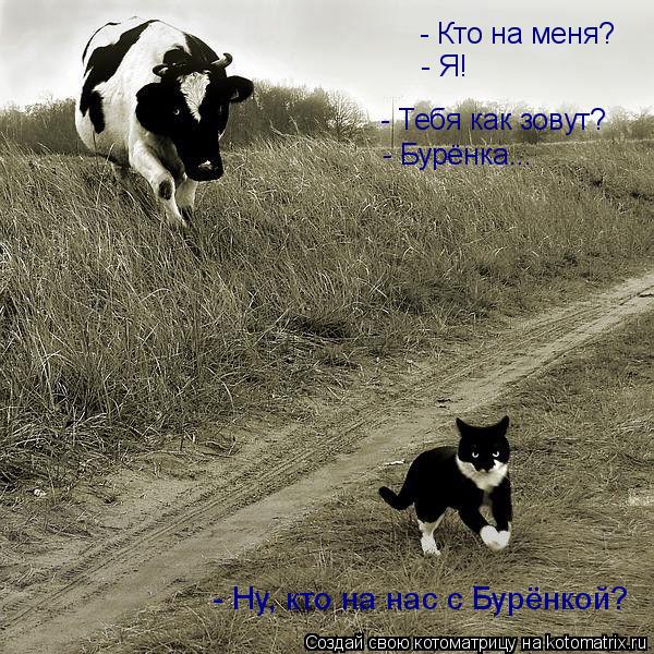- Кто на меня? - Я! - Тебя как зовут? - Бурёнка... - Ну, кто на нас с Бурёнкой?... Котоматрица: - Кто на меня? - Я! - Тебя как зовут? - Бурёнка... - Ну, кто на нас с Бурёнкой?