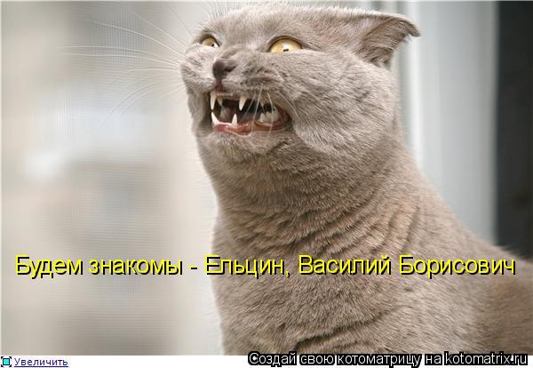 Будем знакомы - Ельцин, Василий Борисович... Котоматрица: Будем знакомы - Ельцин, Василий Борисович