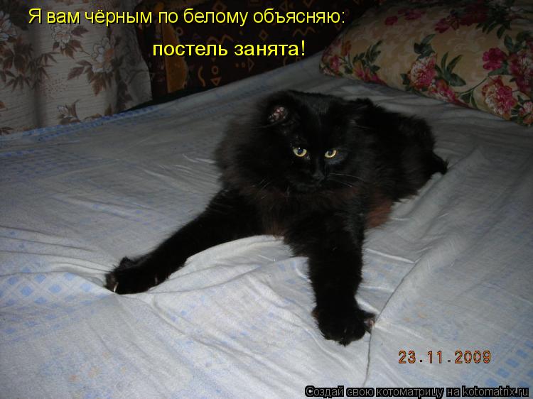Котоматрица: Я вам чёрным по белому объясняю: постель занята!