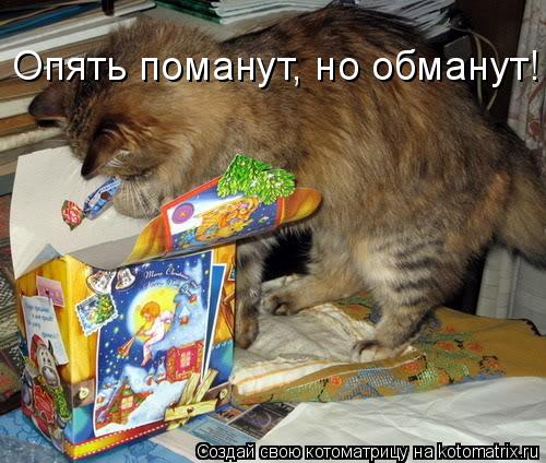Опять поманут, но обманут!... Котоматрица: Опять поманут, но обманут!