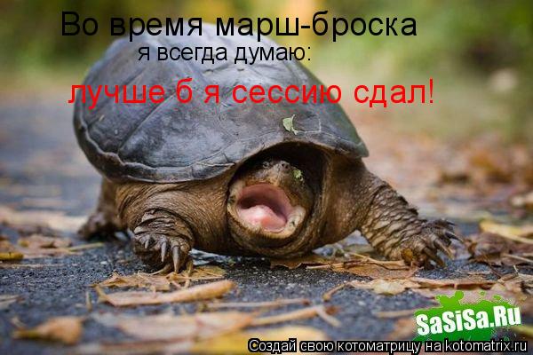 я всегда думаю: лучше б я сессию сдал! Во время марш-броска... Котоматрица: я всегда думаю: лучше б я сессию сдал! Во время марш-броска
