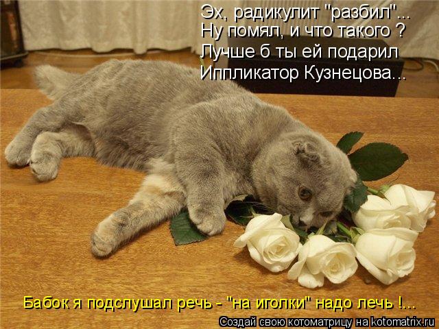 Эх, радикулит "разбил"... Ну помял, и что такого ? Лучше б ты ей подарил Иппликатор Кузнецова... Бабо... Котоматрица: Эх, радикулит "разбил"... Ну помял, и что такого ? Лучше б ты ей подарил Иппликатор Кузнецова... Бабок я подслушал речь - "на иголки" надо лечь !...