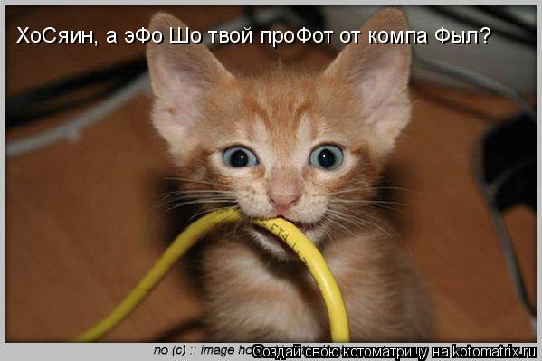 ХоСяин, а эФо Шо твой проФот от компа Фыл?... Котоматрица: ХоСяин, а эФо Шо твой проФот от компа Фыл?