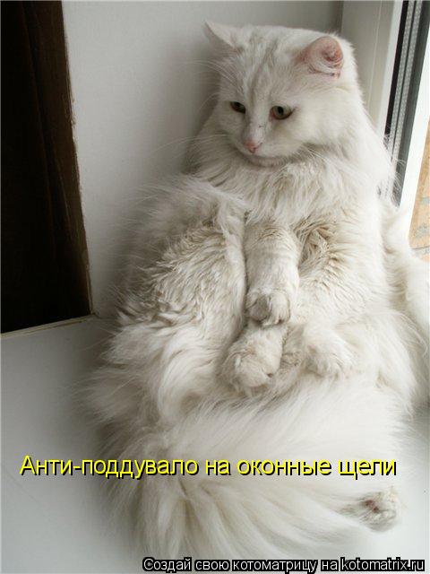 Анти-поддувало на оконные щели... Котоматрица: Анти-поддувало на оконные щели