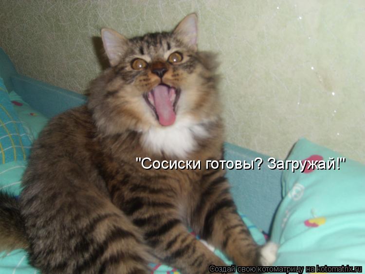 "Сосиски готовы? Загружай!"... Котоматрица: "Сосиски готовы? Загружай!"