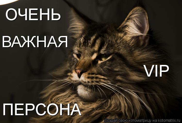 ОЧЕНЬ ПЕРСОНА ВАЖНАЯ VIP... Котоматрица: ОЧЕНЬ ПЕРСОНА ВАЖНАЯ VIP