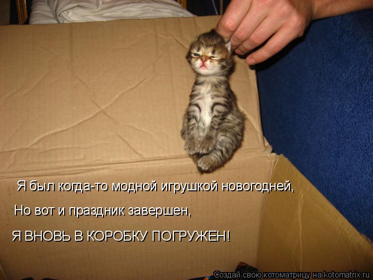 Я был когда-то модной игрушкой новогодней, Но вот и праздник завершен, Я ВНОВЬ В КОРОБКУ ПОГРУЖЕН!... Котоматрица: Я был когда-то модной игрушкой новогодней, Но вот и праздник завершен, Я ВНОВЬ В КОРОБКУ ПОГРУЖЕН!