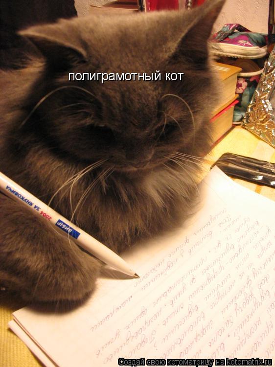 полиграмотный кот... Котоматрица: полиграмотный кот