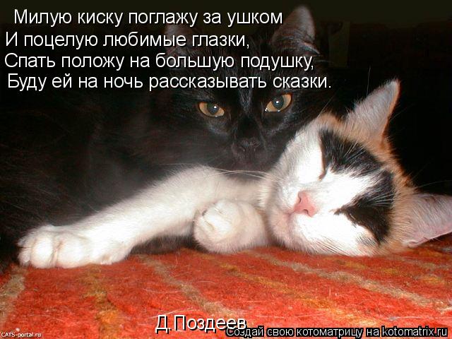 Милую киску поглажу за ушком И поцелую любимые глазки, Спать положу на большую подушку, Буду ей на но... Котоматрица: Милую киску поглажу за ушком И поцелую любимые глазки, Спать положу на большую подушку, Буду ей на ночь рассказывать сказки. Д.Поздеев