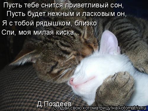 Пусть тебе снится приветливый сон, Пусть будет нежным и ласковым он, Я с тобой рядышком, близко Спи, ... Котоматрица: Пусть тебе снится приветливый сон, Пусть будет нежным и ласковым он, Я с тобой рядышком, близко Спи, моя милая киска... Д.Поздеев