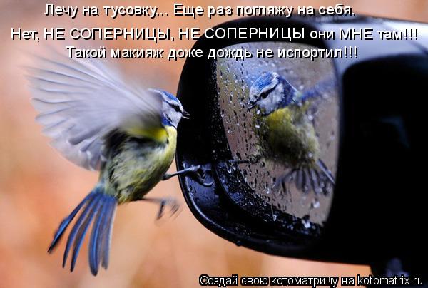 Лечу на тусовку... Еще раз погляжу на себя. Нет, НЕ СОПЕРНИЦЫ, НЕ СОПЕРНИЦЫ они МНЕ там!!! Такой маки... Котоматрица: Лечу на тусовку... Еще раз погляжу на себя. Нет, НЕ СОПЕРНИЦЫ, НЕ СОПЕРНИЦЫ они МНЕ там!!! Такой макияж доже дождь не испортил!!!