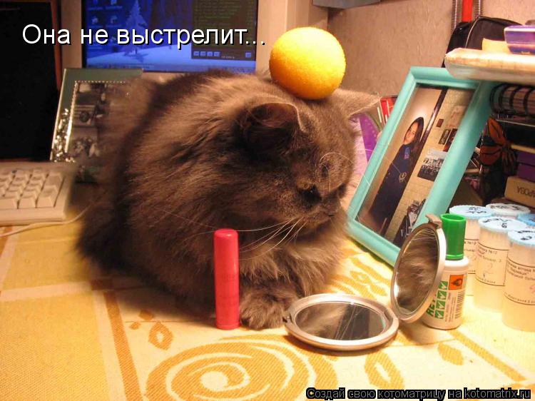 Она не выстрелит...... Котоматрица: Она не выстрелит...