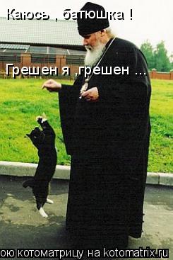 Каюсь , батюшка ! Грешен я ,грешен ...... Котоматрица: Каюсь , батюшка ! Грешен я ,грешен ...