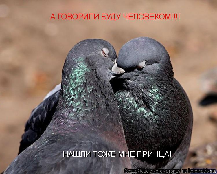 А ГОВОРИЛИ БУДУ ЧЕЛОВЕКОМ!!!! НАШЛИ ТОЖЕ МНЕ ПРИНЦА!... Котоматрица: А ГОВОРИЛИ БУДУ ЧЕЛОВЕКОМ!!!! НАШЛИ ТОЖЕ МНЕ ПРИНЦА!