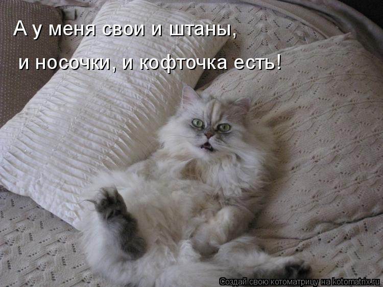 А у меня свои и штаны, и носочки, и кофточка есть!... Котоматрица: А у меня свои и штаны, и носочки, и кофточка есть!