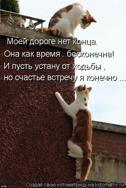 Моей дороге нет конца. Она как время – бесконечна! И пусть устану от ходьбы , но счастье встречу я ко... Котоматрица: Моей дороге нет конца. Она как время – бесконечна! И пусть устану от ходьбы , но счастье встречу я конечно ...