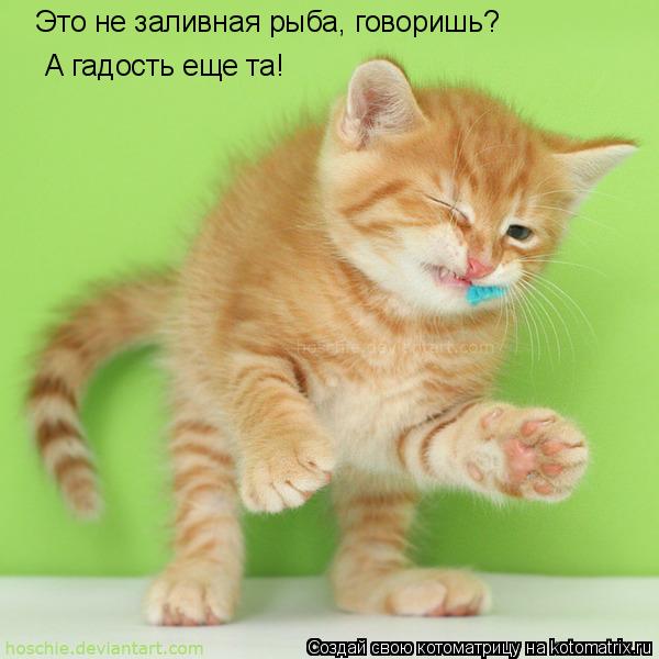 Это не заливная рыба, говоришь? А гадость еще та!... Котоматрица: Это не заливная рыба, говоришь? А гадость еще та!