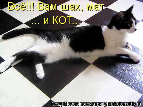 Всё!!! Вам шах, мат ... и КОТ...... Котоматрица: Всё!!! Вам шах, мат ... и КОТ...