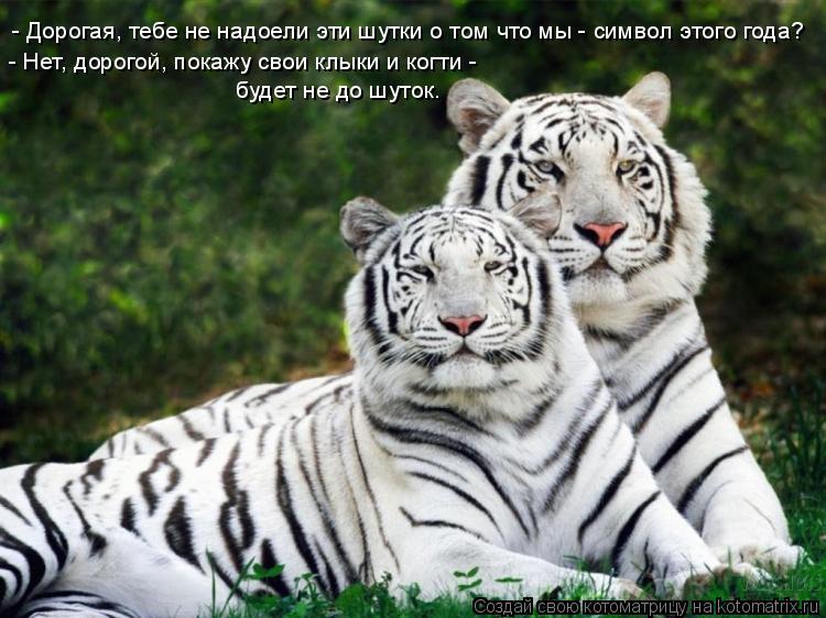 - Дорогая, тебе не надоели эти шутки о том что мы - символ этого года? - Нет, дорогой, покажу свои кл... Котоматрица: - Дорогая, тебе не надоели эти шутки о том что мы - символ этого года? - Нет, дорогой, покажу свои клыки и когти - будет не до шуток.