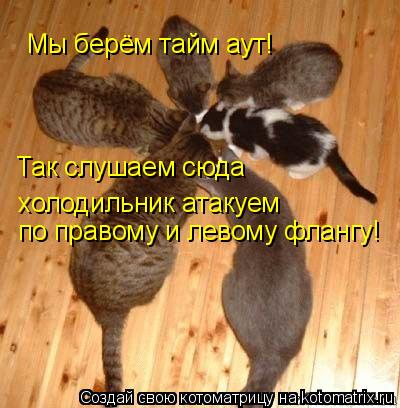 Мы берём тайм аут! Так слушаем сюда холодильник атакуем по правому и левому флангу!... Котоматрица: Мы берём тайм аут! Так слушаем сюда холодильник атакуем по правому и левому флангу!