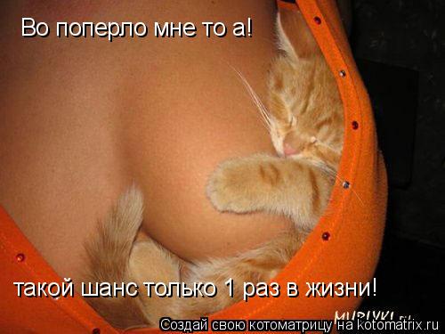 Во поперло мне то а! такой шанс только 1 раз в жизни!... Котоматрица: Во поперло мне то а! такой шанс только 1 раз в жизни!