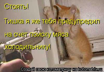 Стоять! Тишка я же тебя предупредил на счет поиску мяса холодильнику!... Котоматрица: Стоять! Тишка я же тебя предупредил на счет поиску мяса холодильнику!