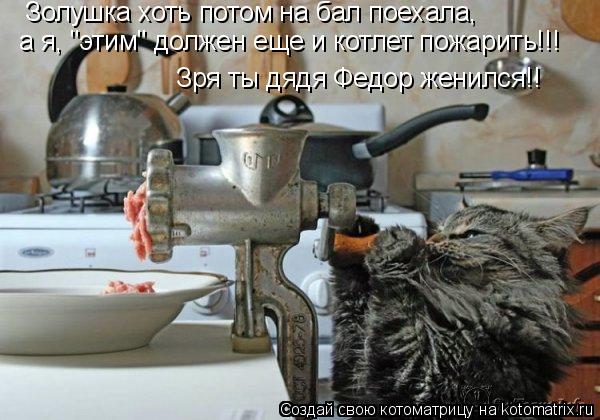 Золушка хоть потом на бал поехала, а я, "этим" должен еще и котлет пожарить!!! Зря ты дядя Федор же... Котоматрица: Золушка хоть потом на бал поехала, а я, "этим" должен еще и котлет пожарить!!! Зря ты дядя Федор женился!!