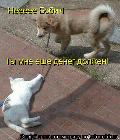 Котоматрица: Неееее Бобик! Ты мне еще денег должен!