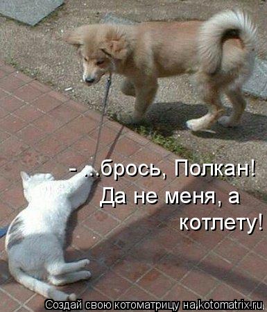 - ...брось, Полкан! Да не меня, а котлету!... Котоматрица: - ...брось, Полкан! Да не меня, а котлету!