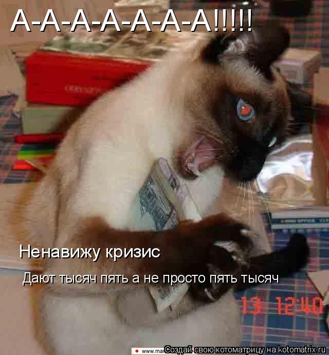 А-А-А-А-А-А-А!!!!! Ненавижу кризис Дают тысяч пять а не просто пять тысяч... Котоматрица: А-А-А-А-А-А-А!!!!! Ненавижу кризис Дают тысяч пять а не просто пять тысяч
