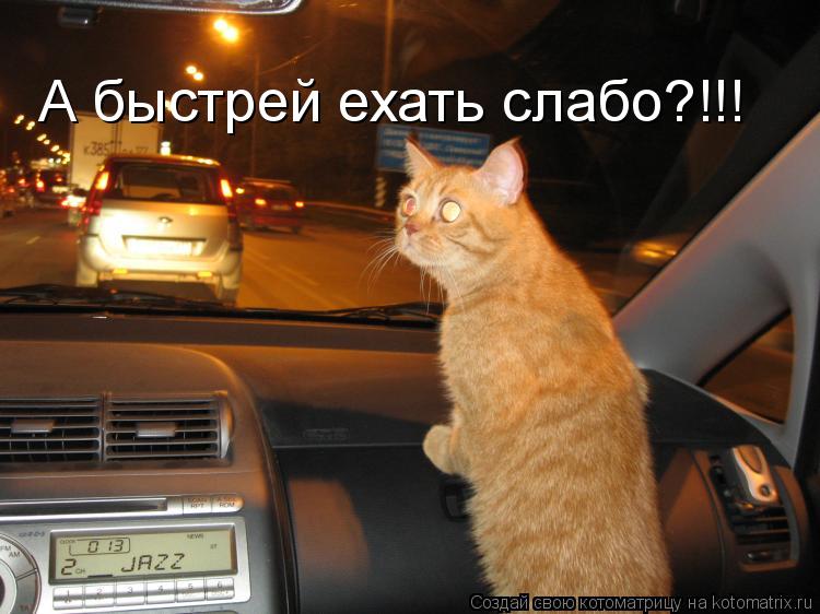 А быстрей ехать слабо?!!!... Котоматрица: А быстрей ехать слабо?!!!