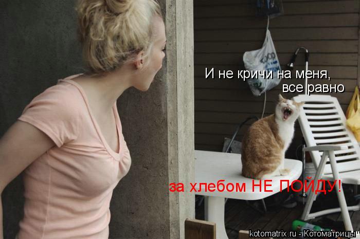 И не кричи на меня, все равно за хлебом НЕ ПОЙДУ!... Котоматрица: И не кричи на меня, все равно за хлебом НЕ ПОЙДУ!